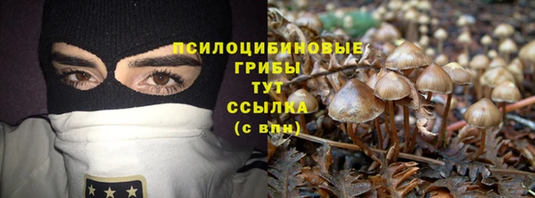 крисы Алзамай