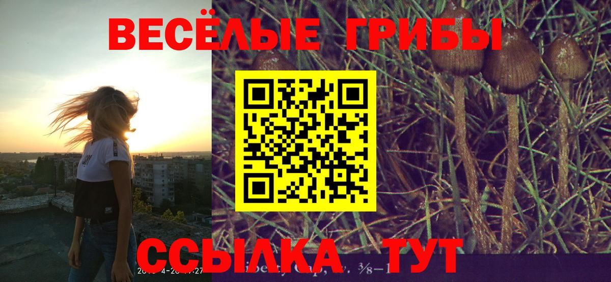 Галлюциногенные грибы прущие грибы  Галлюциногенные грибы Psilocybe  Вход с VPN  Еманжелинск 
